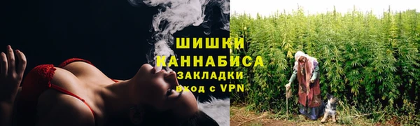 PSILOCYBIN Богородицк