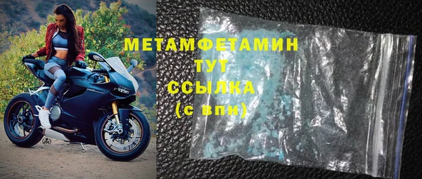 прущие грибы Бугульма