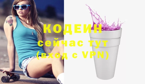 шишки Бородино