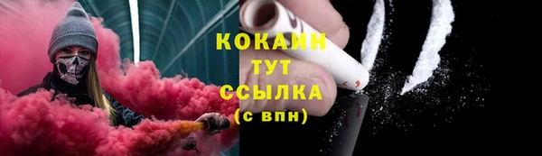PSILOCYBIN Богородск