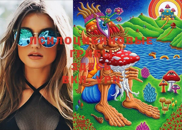шишки Бородино