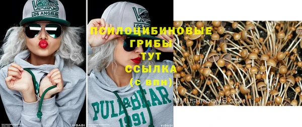 прущие грибы Бугульма
