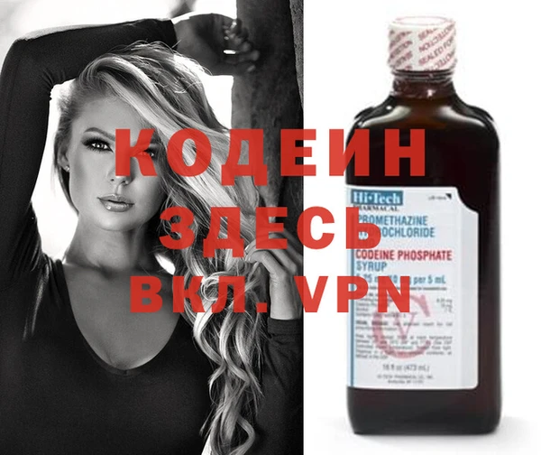 шишки Бородино