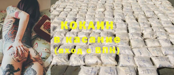 прущие грибы Бугульма