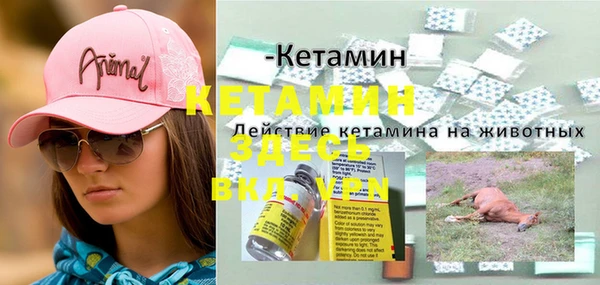 шишки Бородино