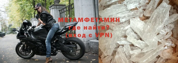прущие грибы Бугульма