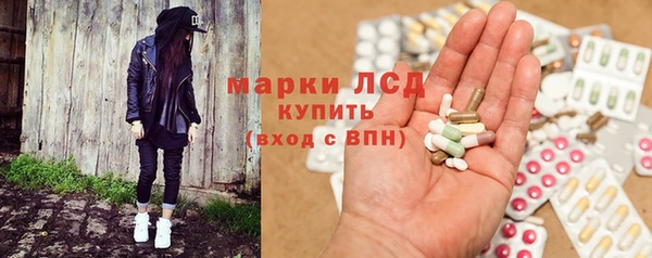 сатива Ростов