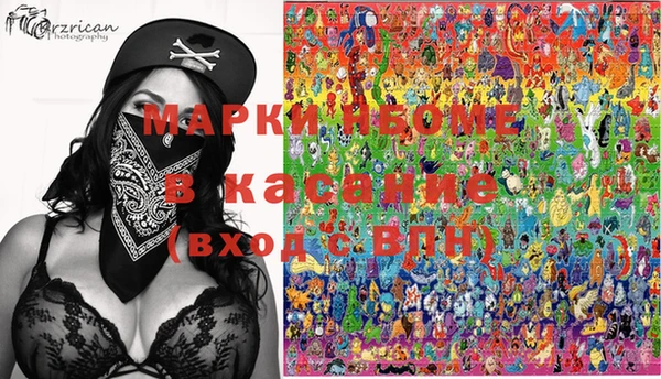 шишки Бородино