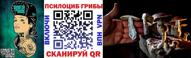 Псилоцибиновые грибы мицелий  omg онион  Дорогобуж  где купить наркоту 
